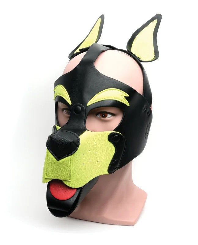 665PlayfulPupHood–O/SBlack/Yellow