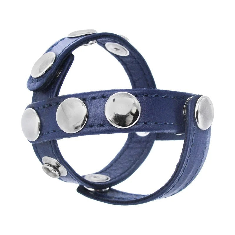 BlueLeatherCockandBallHarness