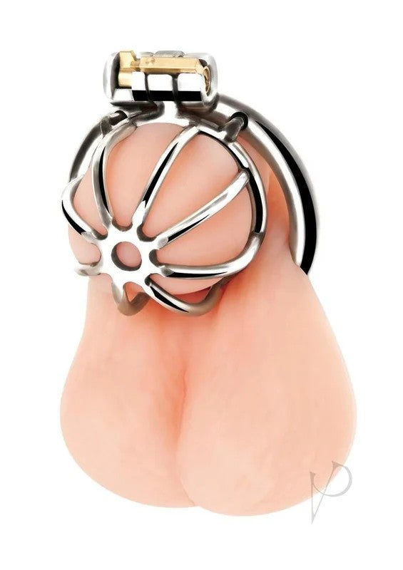 BlueLineLittleCockChastityCage–Stainless