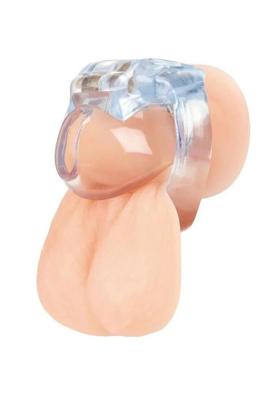 BluelineSmallDickAcrylicMiniChastityCage
