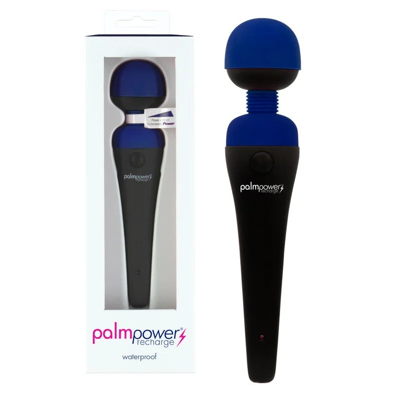 BMS–PalmPowerRechargeWandMassager(Blue)