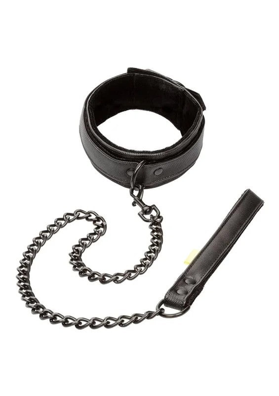 BoundlessCollarandLeash