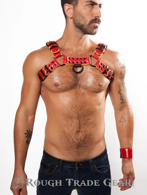 BulldogActionLeatherHarness–RoughTradeGear