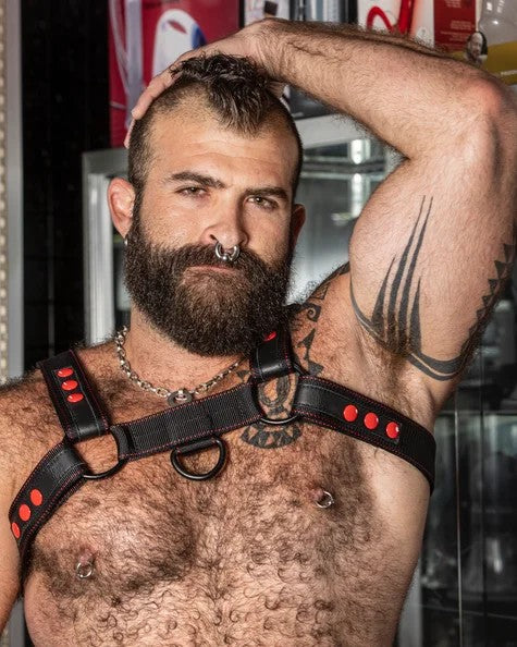 BulldogTrekNylonHarness2.0–RoughTradeGear