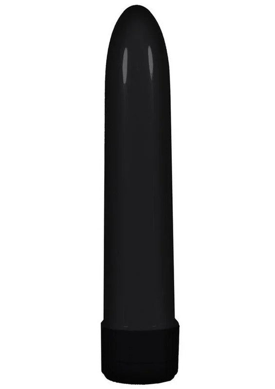 Lady’sChoicePlasticVibrator