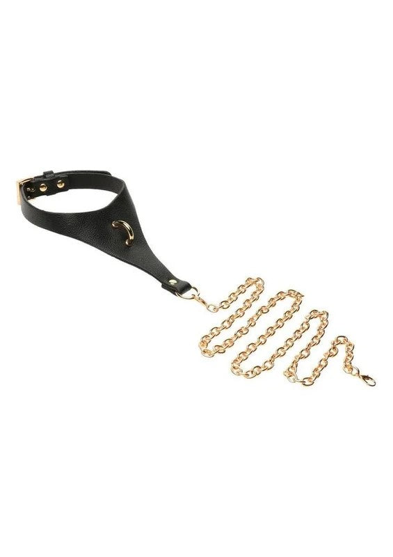 MasterSeriesCaptivateCollarwithBodyChain
