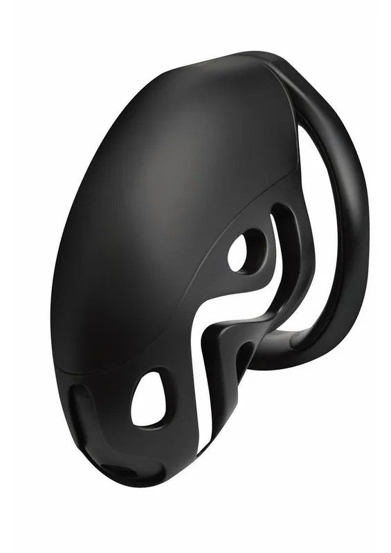 MasterSeriesCaptorChastityCage
