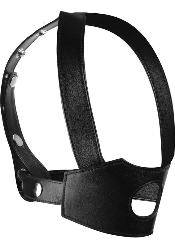 MasterSeriesFaceFukIIDildoFaceHarness