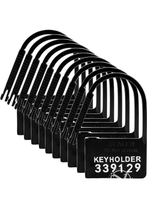 MasterSeriesKeyholder10PackNumberedPlasticChastityLocks