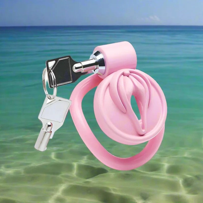 MasterSeriesPussificationVulvaLockingChastityCage