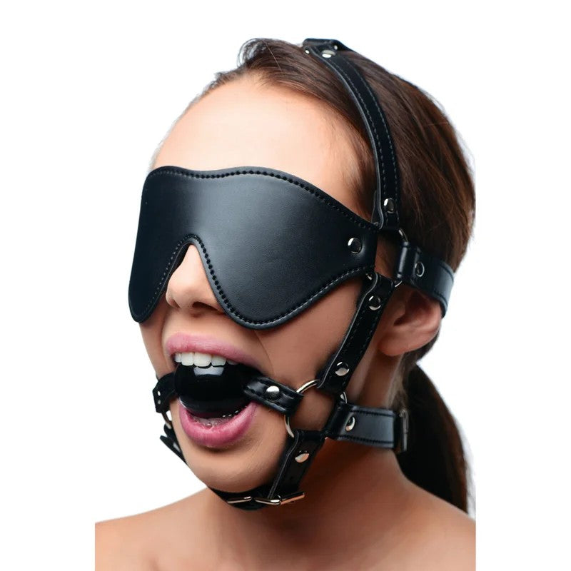 BlindfoldHarnessandBlackBallGag