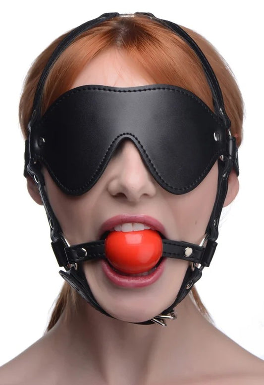 BlindfoldHarnessandRedBallGag