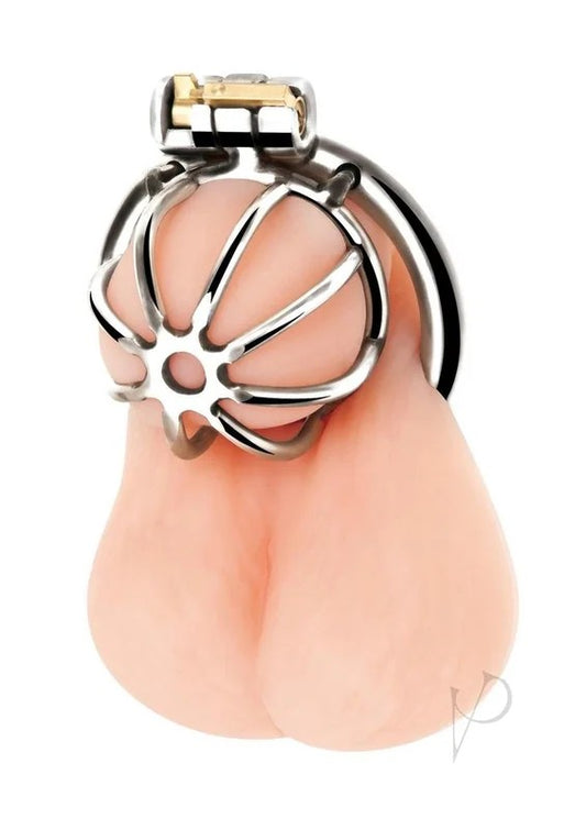 BlueLineLittleCockChastityCage–Stainless