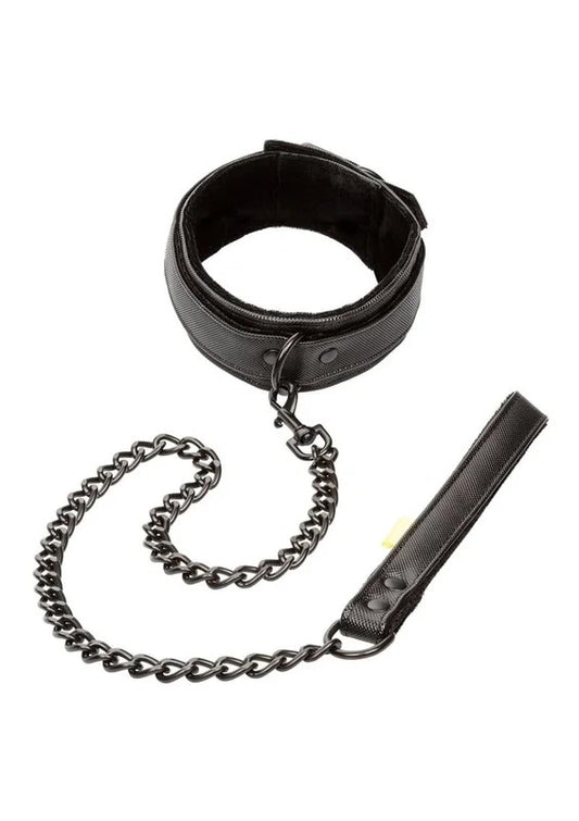 BoundlessCollarandLeash