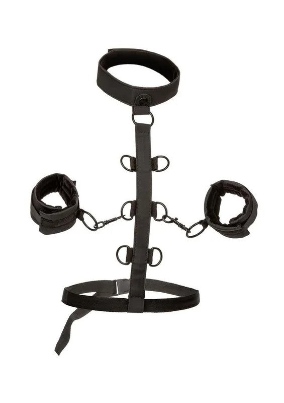 BoundlessCollarBodyRestraint