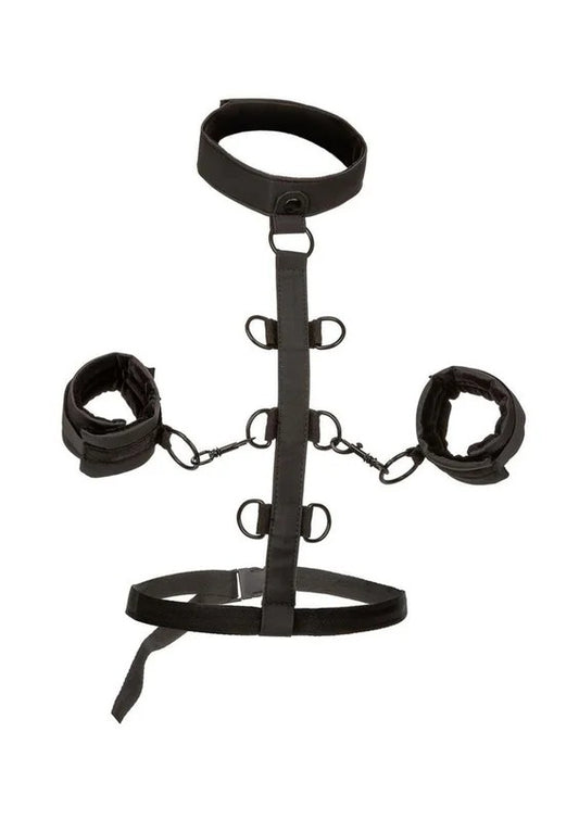 BoundlessCollarBodyRestraint