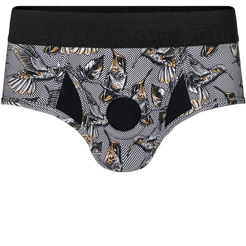 Brief+Harness–Hummingbirds
