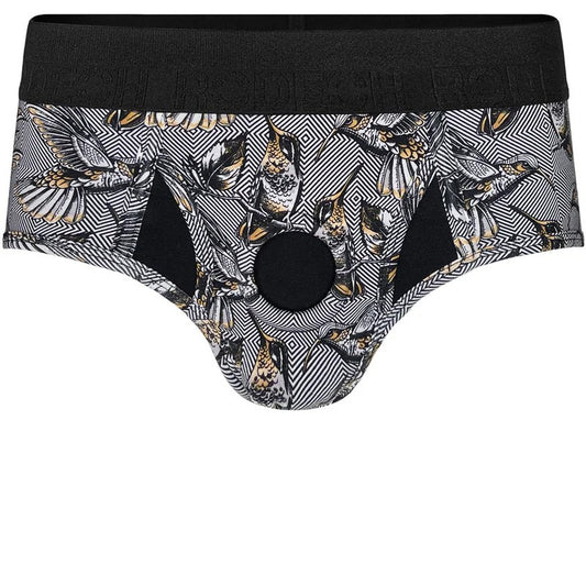 Brief+Harness–Hummingbirds