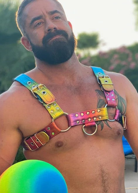 BULLDOGPRIDEPRISMLEATHERHARNESS–RoughTradeGear