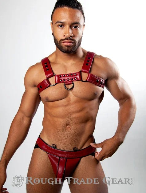 BulldogSnappedLeatherHarness–RoughTradeGear