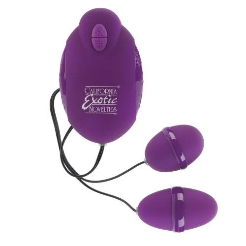 Calexotics–AdvancedRisqueDualTeasers(Purple)