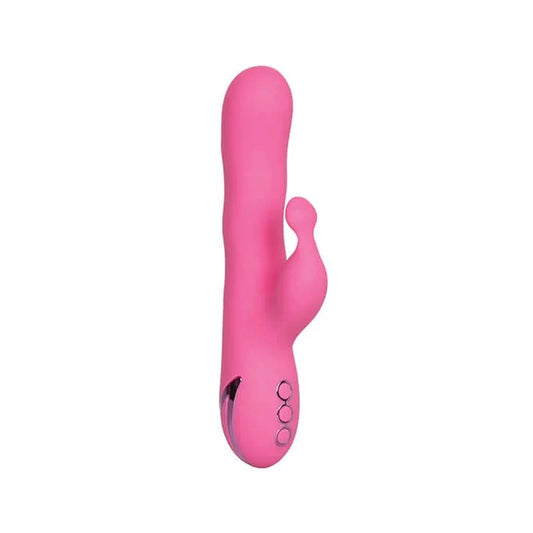 CalExoticsCaliforniaDreamingSantaBarbaraSurferRabbitVibrator