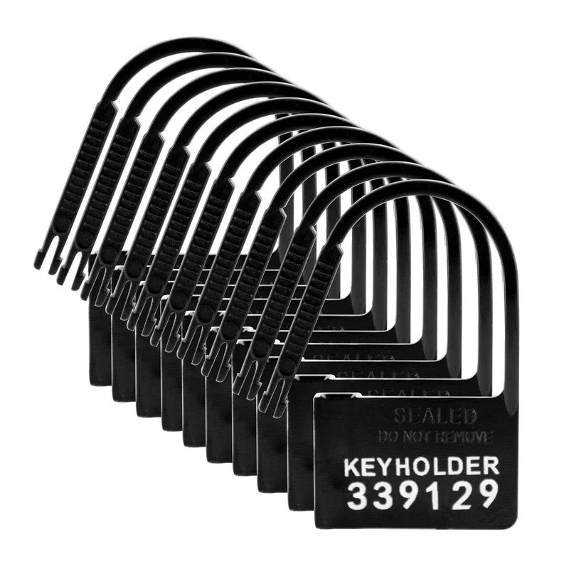 Keyholder10PackNumberedPlasticChastityLocks
