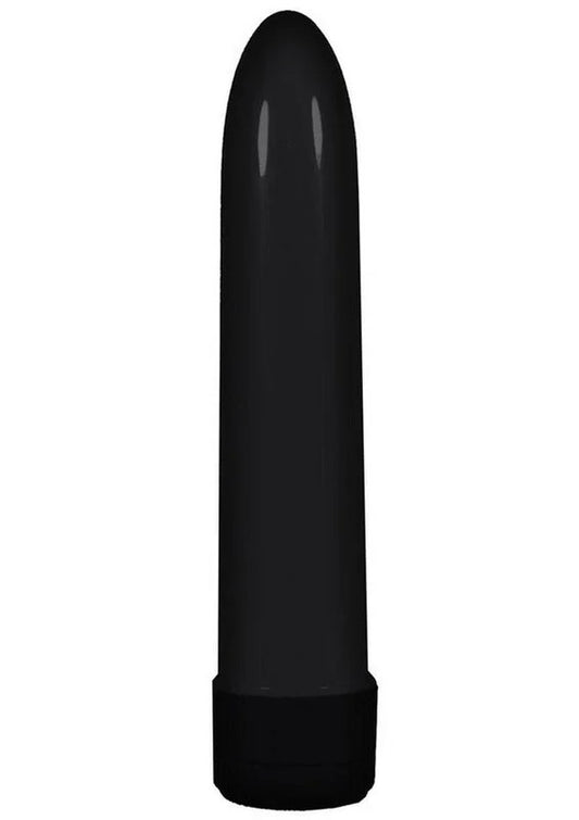 Lady’sChoicePlasticVibrator