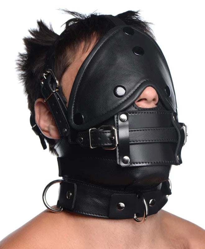 LeatherHeadHarnesswithRemoveableGag
