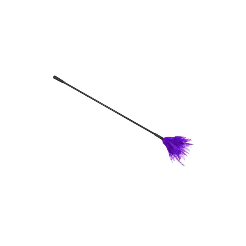LoveInLeather–CropWithGenuineFeatherPlume|Purple
