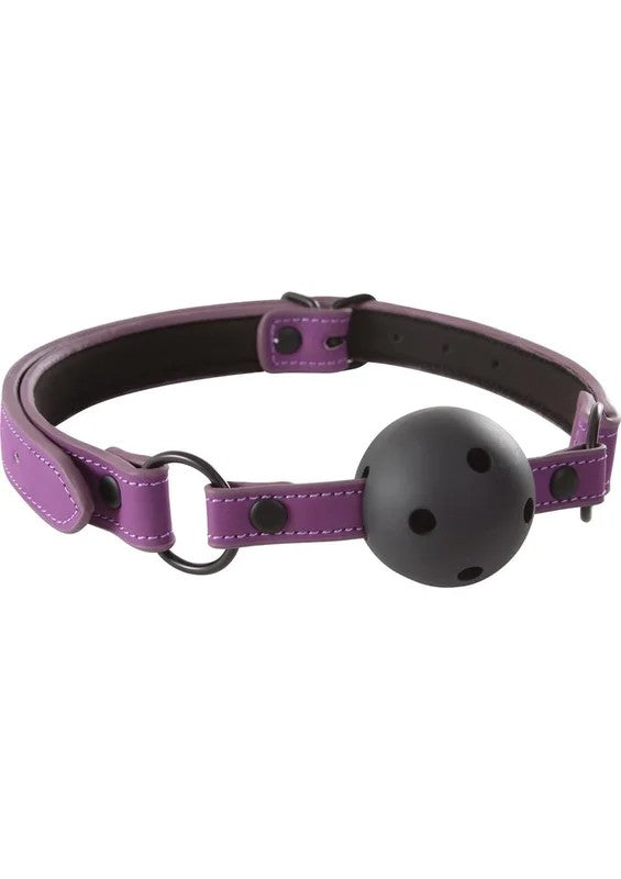 LustBondageBallGag