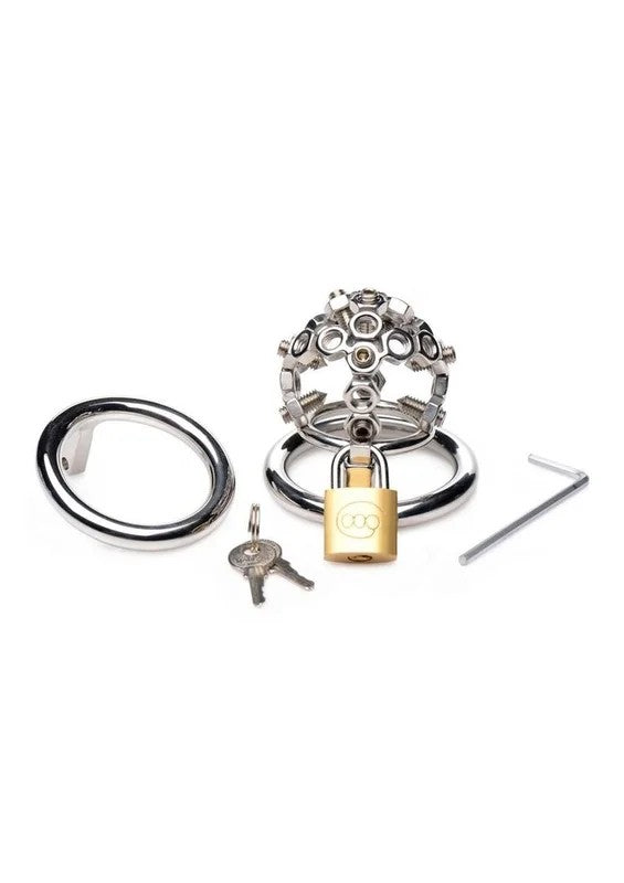 MasterSeriesBoltedChastityCagewithSpikes