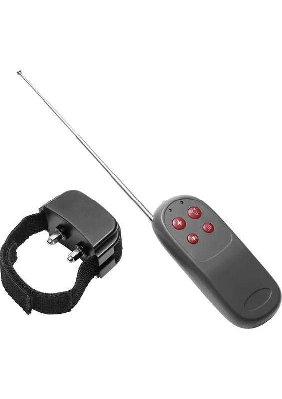 MasterSeriesCockShockCBTElectricCockRingwithRemoteControl
