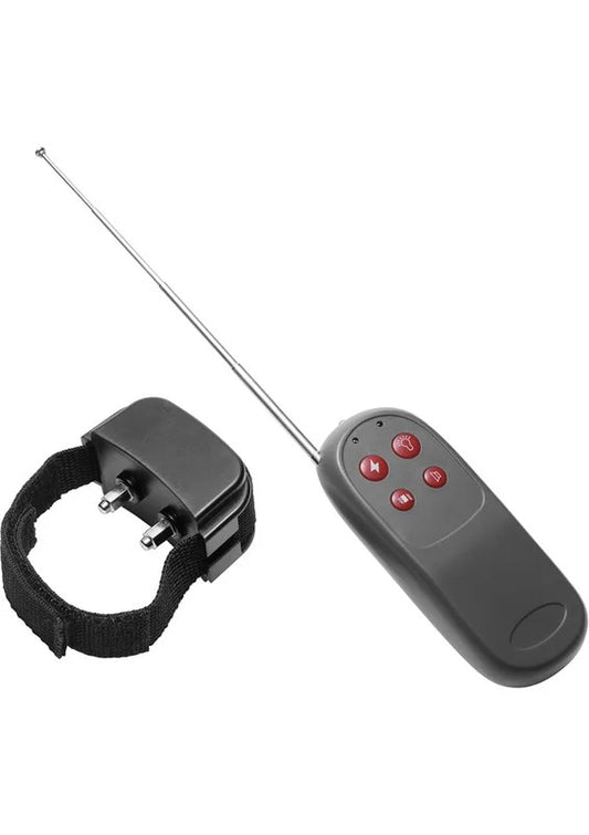MasterSeriesCockShockCBTElectricCockRingwithRemoteControl