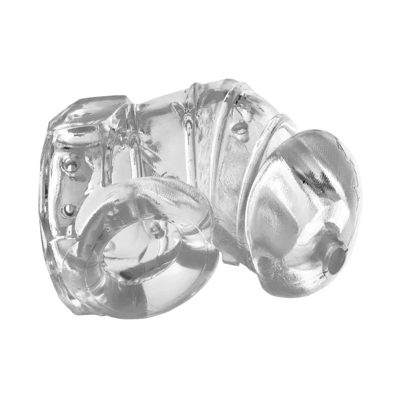MasterSeriesDetainedRestrictiveChastityCageWithNubs