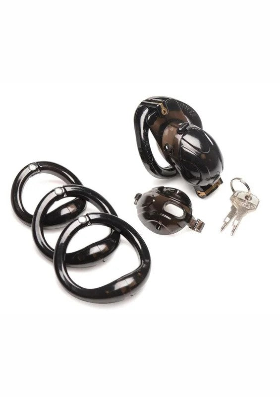 MasterSeriesDoubleLockdownLockingCustomizableChastityCage
