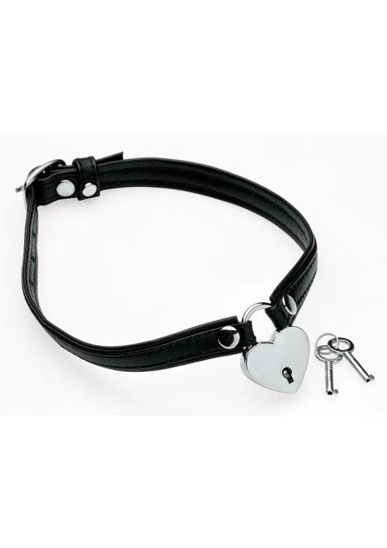 MasterSeriesHeartLockChokerwithKeys
