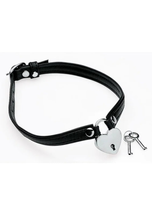 MasterSeriesHeartLockChokerwithKeys
