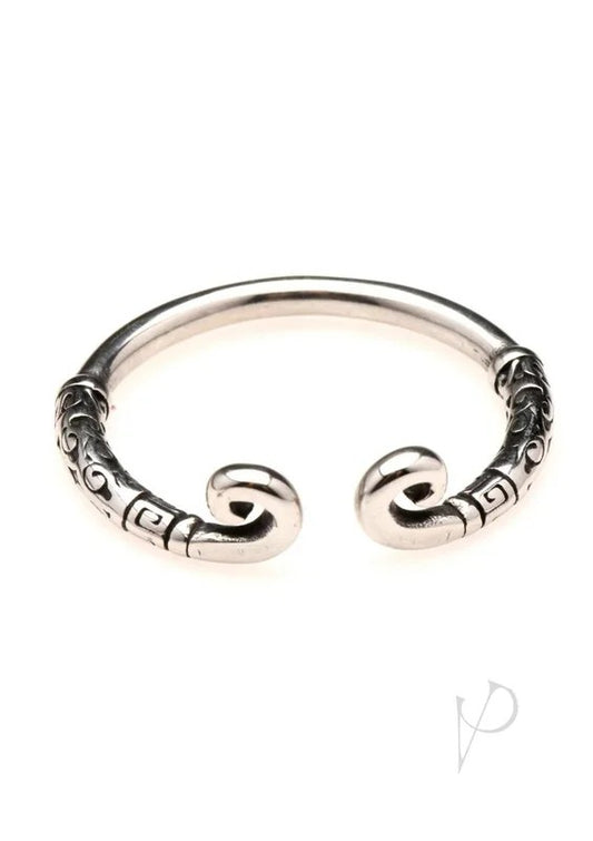 MasterSeriesKingpinStainlessSteelGlansRing