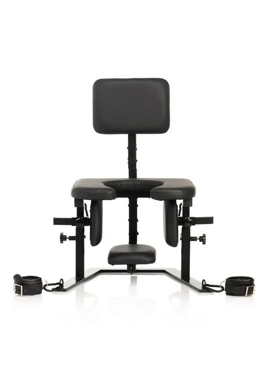 MasterSeriesPleasureThroseOralSexChair