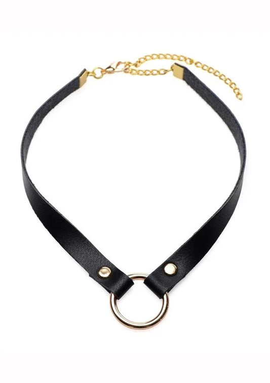 MasterSeriesPoshPetGoldRingSlimChoker