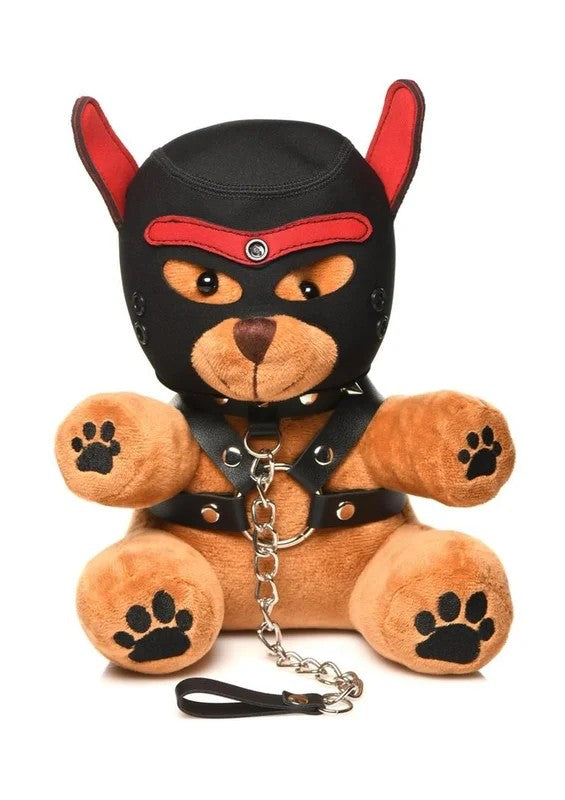 MasterSeriesPupBear