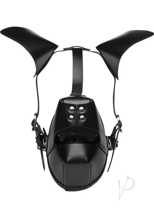 MasterSeriesPupPuppyPlayHood+BreathableBallGag