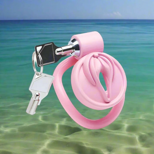 MasterSeriesPussificationVulvaLockingChastityCage