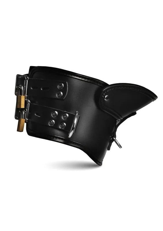 MasterSeriesRigidLockingPostureCollarwithChinBrace