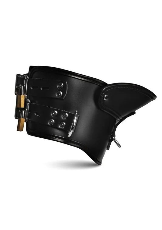 MasterSeriesRigidLockingPostureCollarwithChinBrace