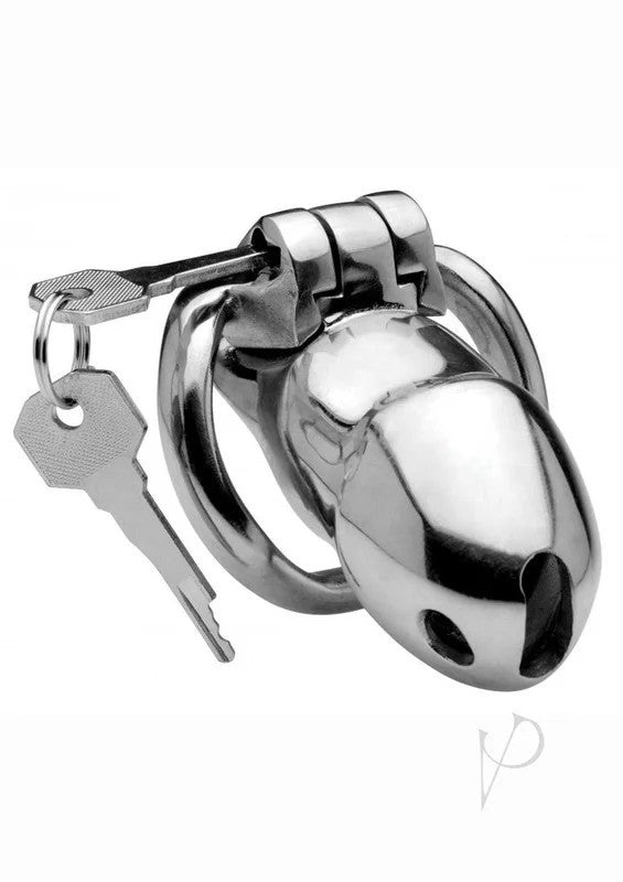 MasterSeriesRikers24-7StainlessSteelLockingChastityCage