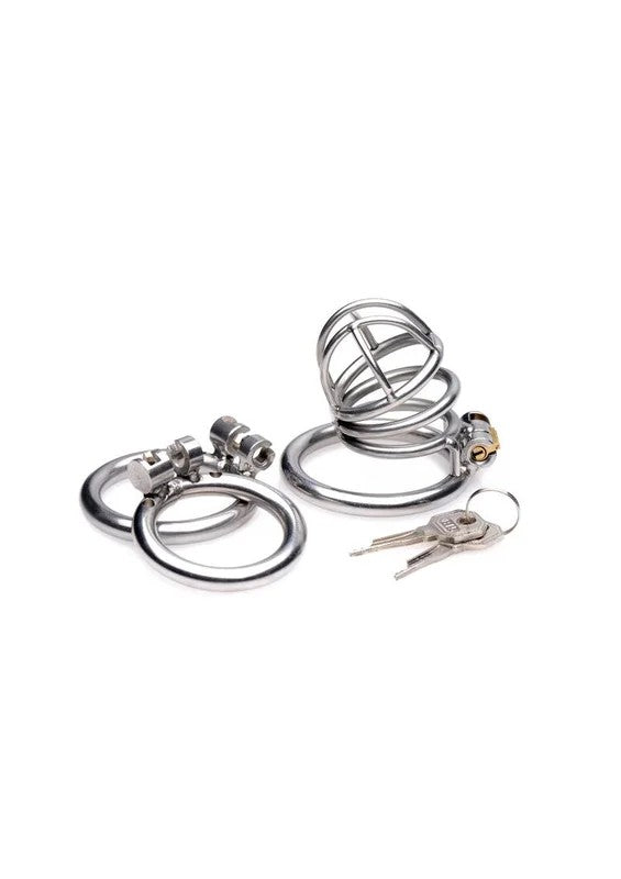MasterSeriesThePenDeluxeLockingChastityCage